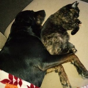 Meet your Posher, Kimberly